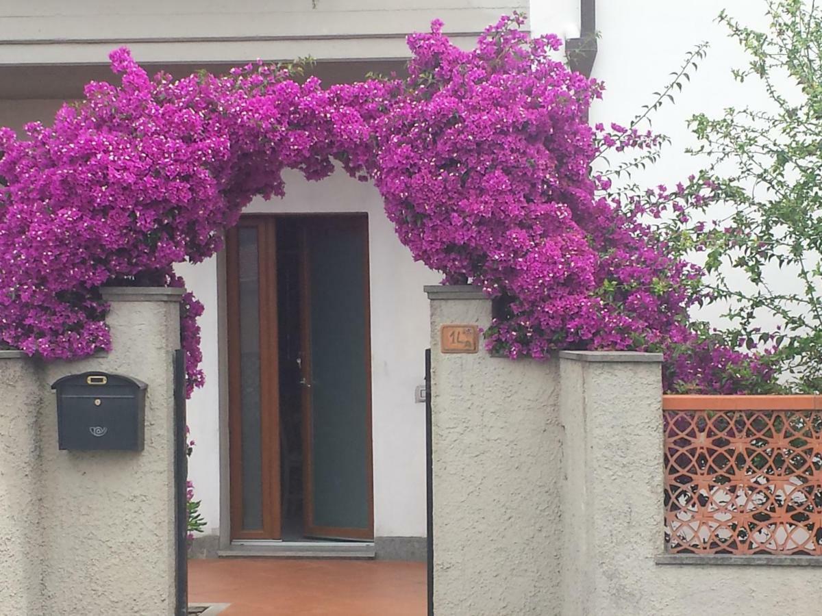 Villa Lory Албиния Екстериор снимка